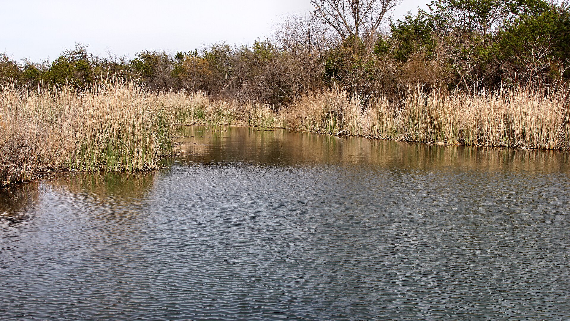 Lake Abilene