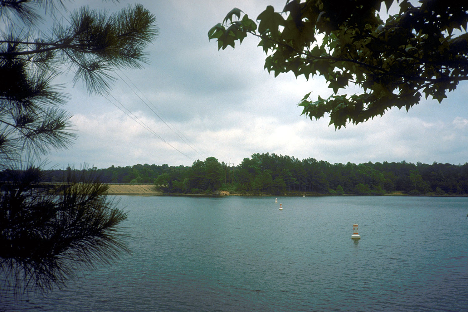 Lake O' the Pines