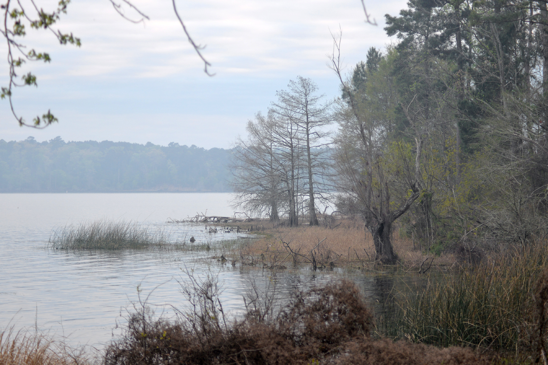 Toledo Bend Reservoir, United States